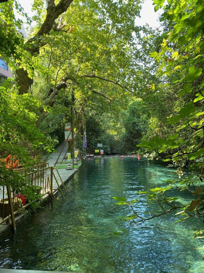 Yuvarlakcay Cinar Butik Otel Koycegiz Buitenkant foto